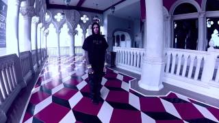 Knyew Pusse Collection