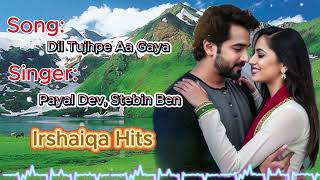 Dil Tujhpe Aa A Lyrics Javed-Mohsin Payal Dev, Stebin Ben Rashmi V Pearl V Puri, Amy Aela