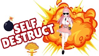 [CYA] this stream will self destruct once it's over Net Worth