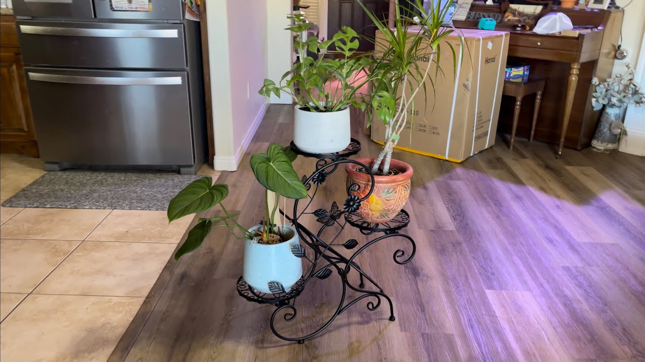HLC 3 Tier Tall Plant Stand Amazon Review YouTube