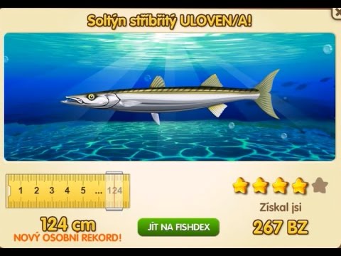 Fishao Barracuda Fishao Barracuda