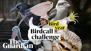 Can you guess the Australian birdcall?