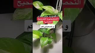 التحصيلي والتصحيح المعياري!#التحصيلي #القدرات_العامة #جامعات