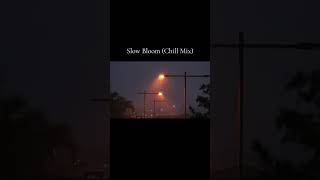 Slow Bloom Chill Mix