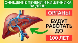 СЕКРЕТ РЕЦЕПТА ОЧИЩЕНИЯ ПЕЧЕНИ И КИШЕЧНИКА !