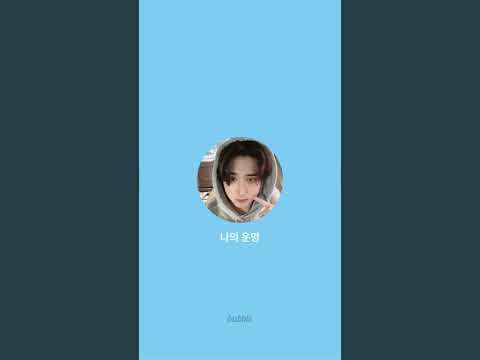 Stray Kids Han Jisung Bubble i love you 한 사랑해요 #straykids #skz #han #jisung #iloveyou #사랑해요