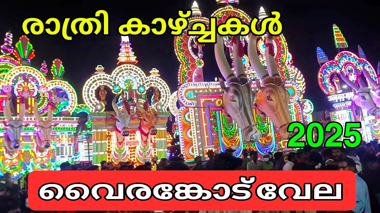 20 km അധികം ദൂരത്തിൽ നിന്ന് വരെ കാള വരവ് | കേരളത്തിലെ വലിയ വേല  |വൈരങ്കോട് വേല