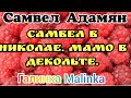 Самвел Адамян /Обзор /Самвел в Николае/ Мамо в декольте //