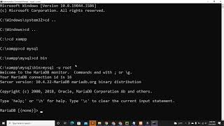 python mysql connection