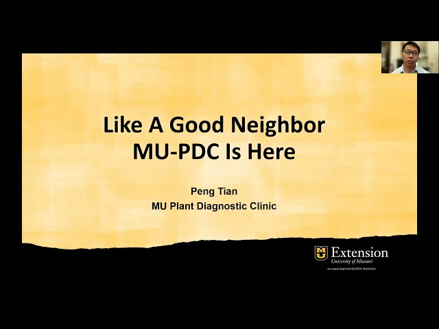 Watch Sample Submission Guidelines of MU Plant Diagnostic Clinic (MU-PDC) on YouTube.