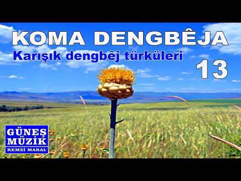 KOMA DENGBEJA   13 ,  KARIŞIK DENGBEJ TÜRKÜLERİ