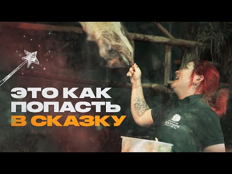 Видео: Как называется биолог-зоопарк?