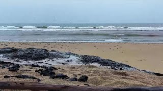 CARPINTERIA STATE BEACH I 4PM SHOW