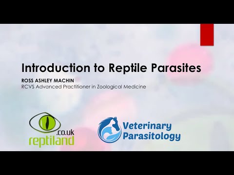 Video: Cov Tsiaj Reptile Parasites