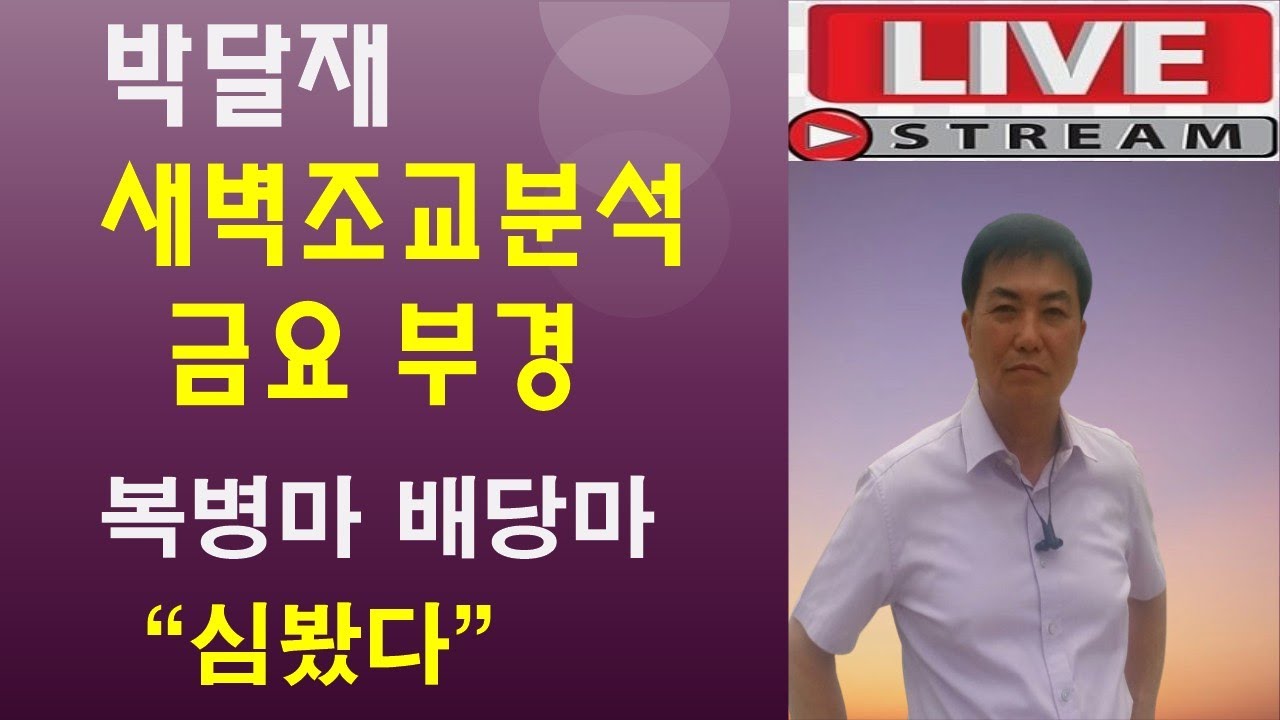 1월16일금요경마 새벽조교 분석방송 경마예상 추천마번 복병마 배당마 온종일 라이브 방송 서울경마 부경경마 경주분석 추천마번 예상방송 박달재