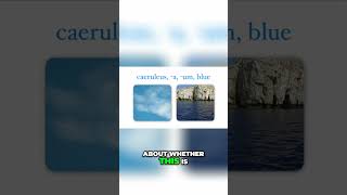 Exploring Blues in Latin – Connections with the Sea  #latin #ancientrome #romanempire #colors @latintutorial