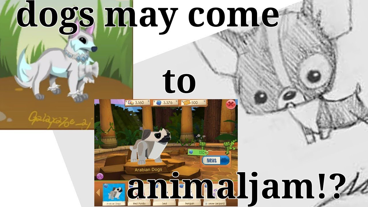 DOGS MAY COME TO AJ || ANIMAL JAM PLAY WILD || AJ PLAY WILD || ANIMALJAM PLAYWILD AJPW
