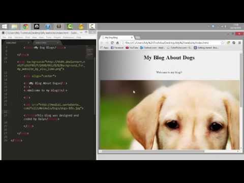 W.C.academy 1.1 The Basics of HTML