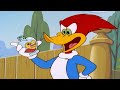 Woody finds a mysterious love potion | Woody Woodpecker