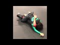 Compilation Jiu-Jitsu Viral Videos Part 10