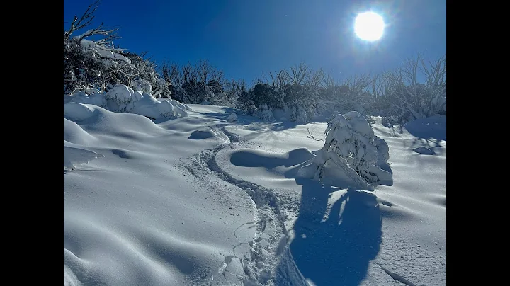 Backcountry skiing Australia with Alpine Backcountry June 8 2022