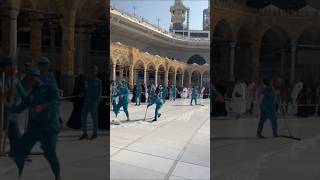 Maula Ya Sallim Naat Sharif
