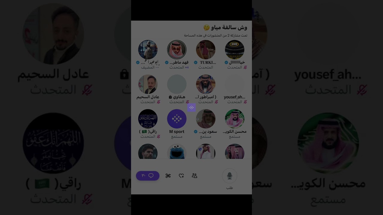 مساحة ابو عبدالمحسن : وش سالفة مياو