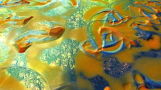 Reaction Diffusion Dynamic Mirror