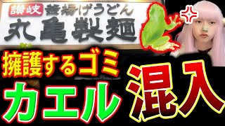 丸亀製麺 シェイクうどん に カエル混入【謝罪 うどん ニホンアマガエル Twitterで話題 ガレソ砲 最新情報】