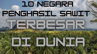 10 Negara Penghasil Sawit yang Paling Besar di Dunia, Indonesia Nomor 1 di Dunia