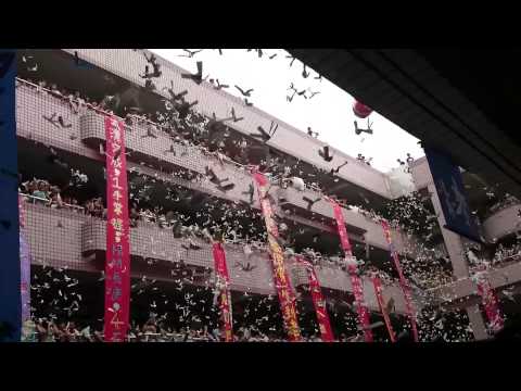 20140604:松山高中 柳絮紛飛