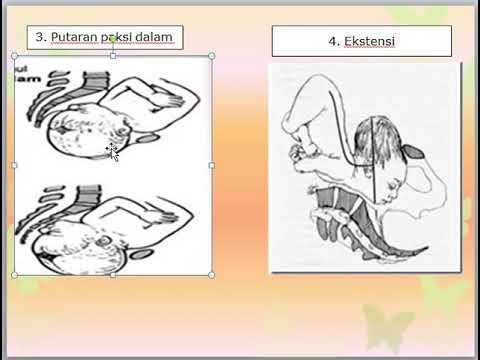 Video: Apakah kata ekspulsif?