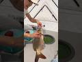 Special fishing shorts #fishing #carpfishing #fish #viralvideo