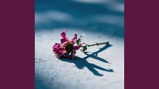 The Death Off Love