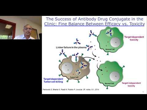 Targeted Cancer Chemotherapy: Developing NextGen Antibody-Drug Conjugates