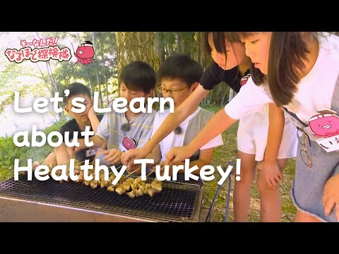 The Naruhodo Expedition Team Versus Turkey?!