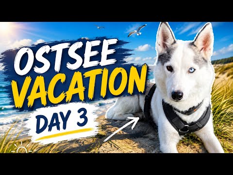 🐾Chill lang tayo ngayon⛱️Ostsee Vacation with Yuki