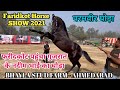 फरीदकोट पहुंचा गुजरात के नदीम भाई का परमवीर घोड़ा -Bhayla Stud Farm Ahmedabad