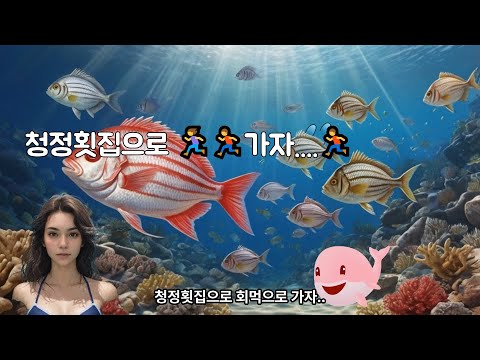 대구 싱싱한 자연산회, 돔(감성돔, 줄돔, 돌돔 등), 광어, 농어, 도다리, 청정회 바다나라 횟집.