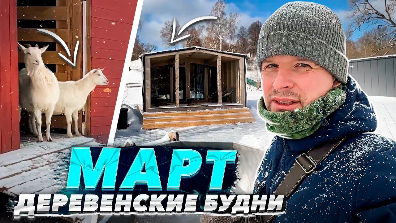 Деревенские будни. Конец Марта.