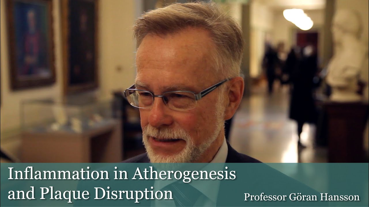 Inflammation in Atherogenesis and Plaque Disruption
