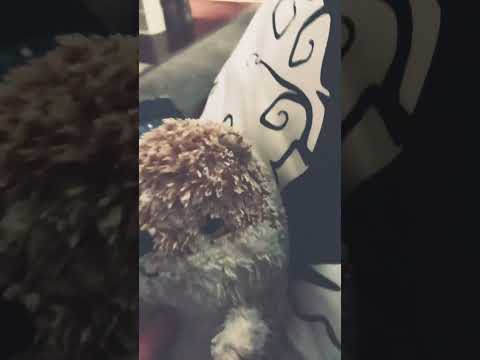 Goatz Casinon Arvostelu: Suositeltava Valinta Pelata Cassinoa Verkossa?