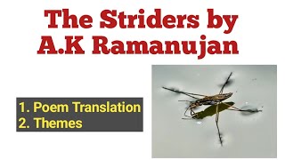 The Striders by A.K Ramanujan Poem Translation in Urdu/Hindi| The Striders Poem Themes in Urdu/Hindi