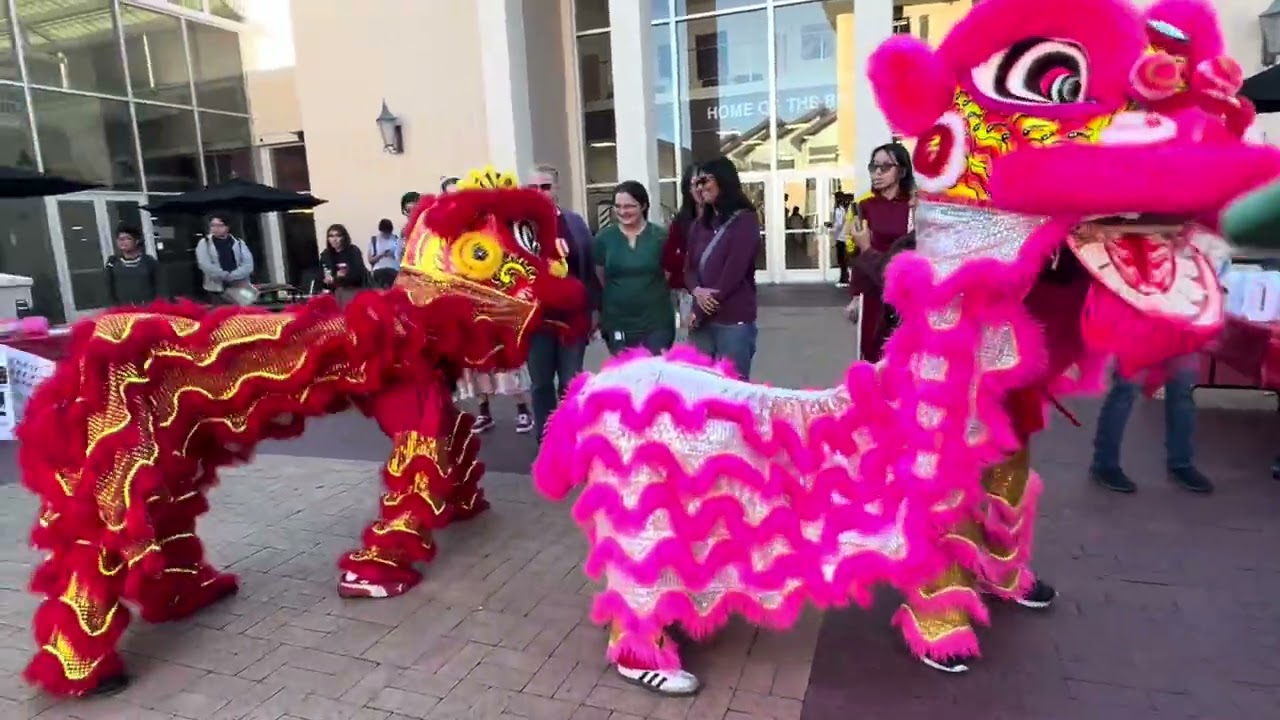 Múa lân cho Santa Clara university 