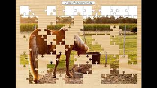 Jigsaw Puzzle - Horse screenshot 5