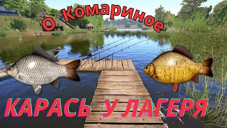 🔥РУССКАЯ РЫБАЛКА 4🔥 О.КОМАРИНОЕ🔥 РАЗДАЧА КАРАСЯ🔥