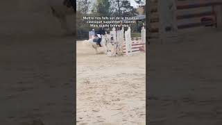 quelle bonne idée #horse #cavaliers #equestrian #cheval #pony #horseriding #dressage #jumping