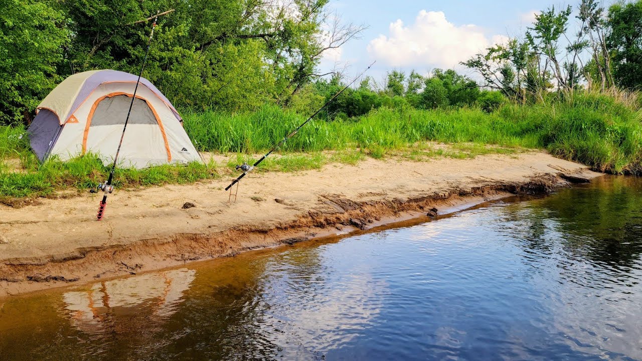 MONSTER FLATHEADS Live Here!!! (Biggest Ever)