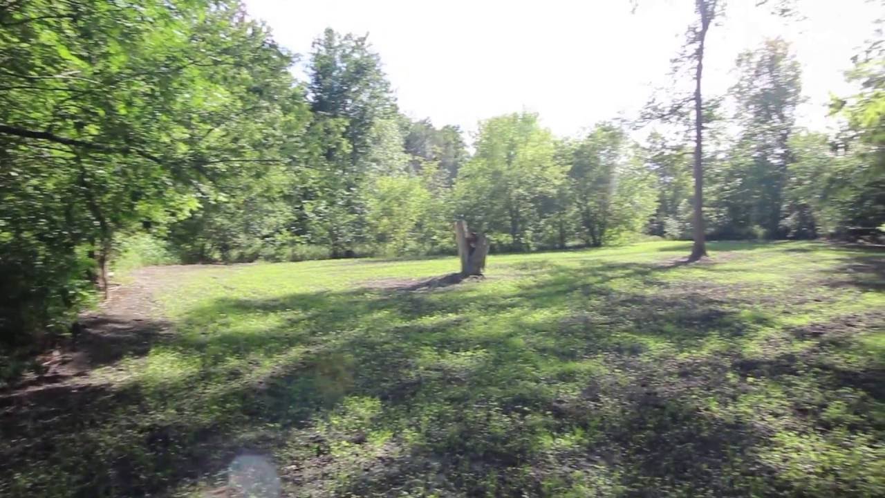 2060 Gravel Creek Road, Deerfield Township, MI, 48461