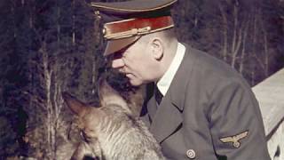 Hitler's WW2 Uniform